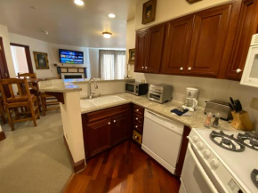 Ballard South Unit 201 - A Waterfall View Condo